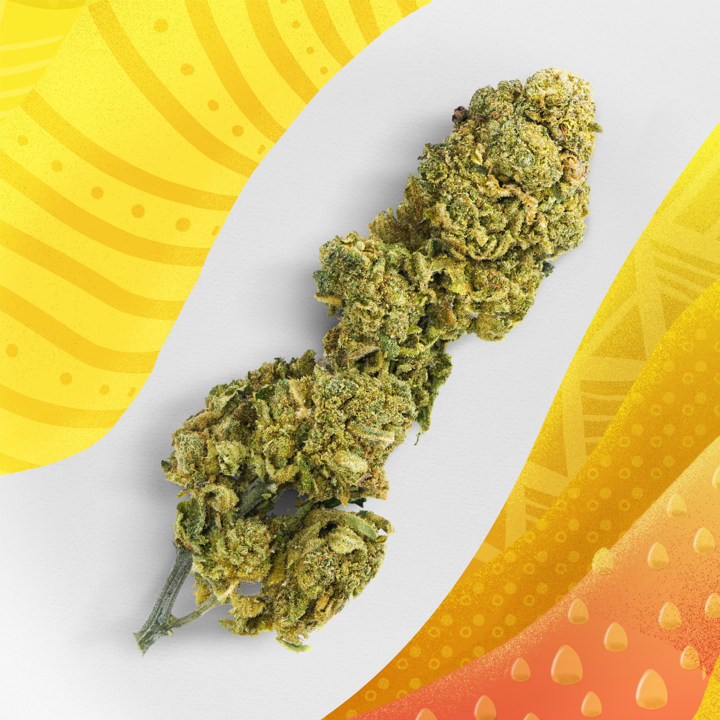 Mango Punch fleurs CBD - KANUT